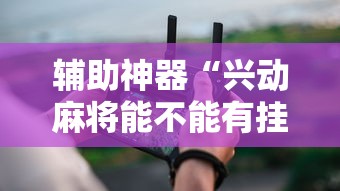 辅助神器“兴动麻将能不能有挂”辅助工具插件,揭秘技巧开挂 辅助神器“兴动麻将能不能有挂”辅助工具插件,揭秘技巧开挂