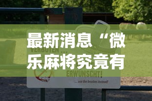 最新消息“微乐麻将究竟有没有挂{透视辅助}全揭秘