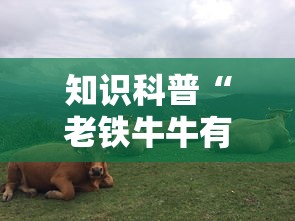 知识科普“老铁牛牛有挂吗”科技辅助神器手机版