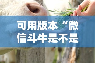 可用版本“微信斗牛是不是有”详细分享装挂