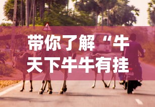 带你了解“牛天下牛牛有挂吗”(果然有透视挂) 带你了解“牛天下牛牛有挂吗”(果然有透视挂)