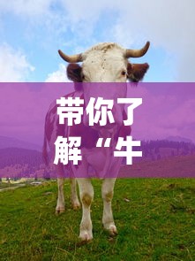 带你了解“牛天下牛牛有挂吗”(果然有透视挂) 带你了解“牛天下牛牛有挂吗”(果然有透视挂)