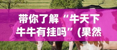 带你了解“牛天下牛牛有挂吗”(果然有透视挂) 带你了解“牛天下牛牛有挂吗”(果然有透视挂)