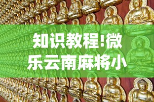 知识教程!微乐云南麻将小程序怎么开挂”(透视挂)详细用法教程