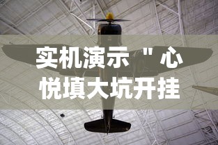 实机演示 ＂心悦填大坑开挂神器[真的有挂]