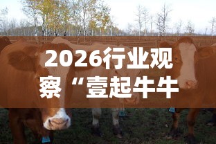 2026行业观察“壹起牛牛有挂吗”详细透视辅助教程官方正版下载 2026行业观察“壹起牛牛有挂吗”详细透视辅助教程官方正版下载