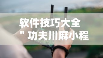 软件技巧大全 "功夫川麻小程序万能开挂器”详细辅助教程分享 软件技巧大全 "功夫川麻小程序万能开挂器”详细辅助教程分享