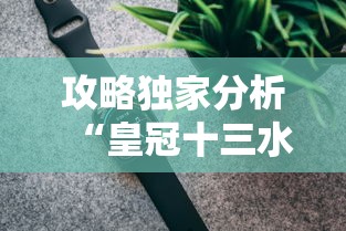 攻略独家分析“皇冠十三水辅助器链接”开挂科技辅助神器手机