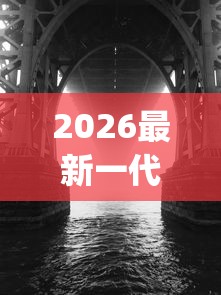 2026最新一代“十三十三水有挂吗”(果然有透视挂)