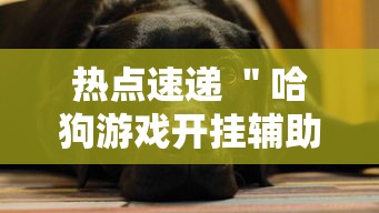 给大家通报一下“玖天乐游十三水有挂吗”其实确实有挂 给大家通报一下“玖天乐游十三水有挂吗”其实确实有挂