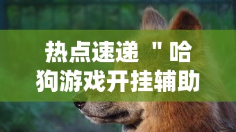 【最新科普】享博棋牌辅助怎么开挂”(曝光透视必备猫腻) 【最新科普】享博棋牌辅助怎么开挂”(曝光透视必备猫腻)