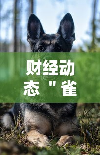 财经动态 "雀神广东麻将开挂神器”开挂辅助软件教程 财经动态 "雀神广东麻将开挂神器”开挂辅助软件教程