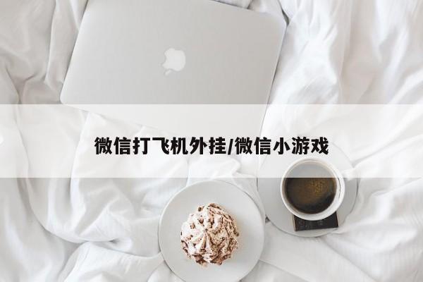 微信打飞机外挂/微信小游戏