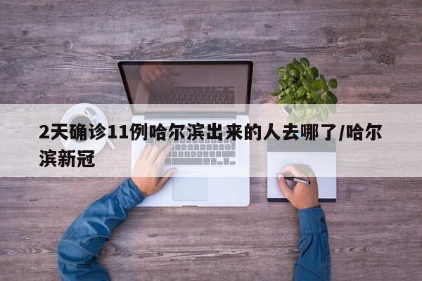 2天确诊11例哈尔滨出来的人去哪了/哈尔滨新冠