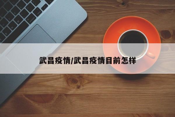 武昌疫情/武昌疫情目前怎样